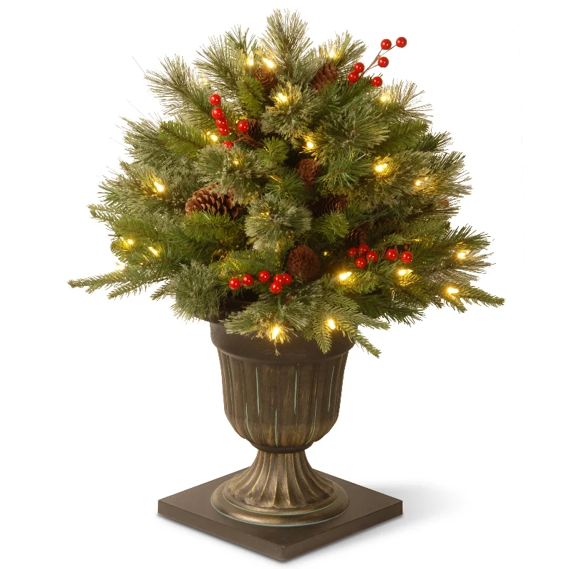 24 in. Colonial Fir Porch Bush with Clear Lights