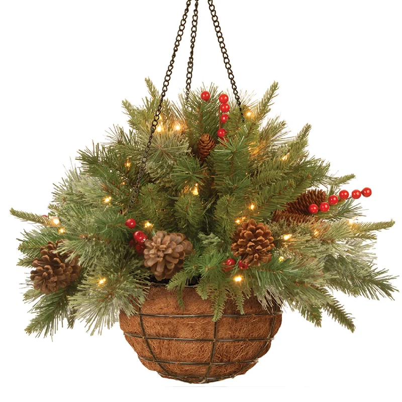 20 in. Pre-Lit Colonial Fir Hanging Basket with LED Lights