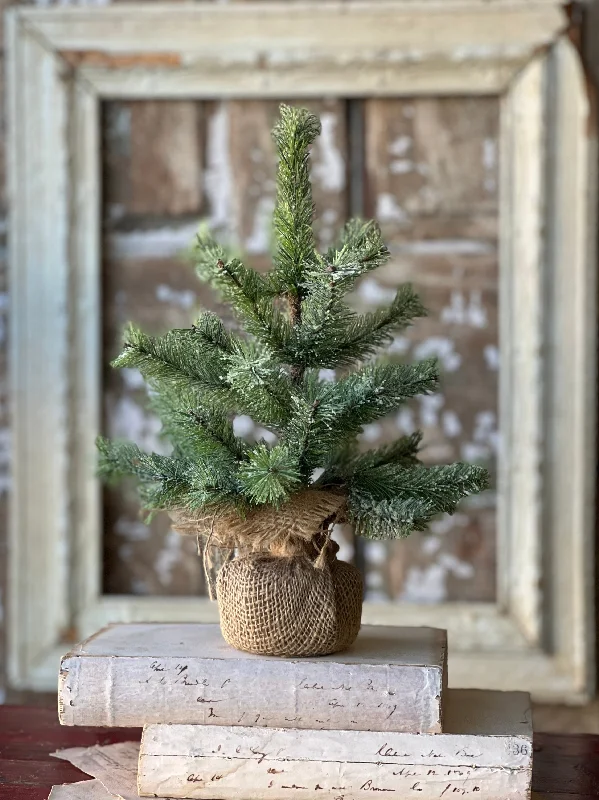 Icy Rocky Mountain Pine Tree | 12"