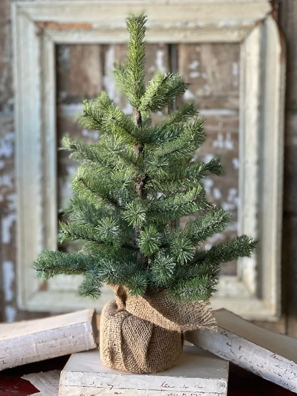 Icy Rocky Mountain Pine Tree | 18"