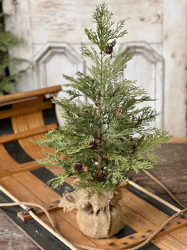 North Rim Hemlock Tree | 24"