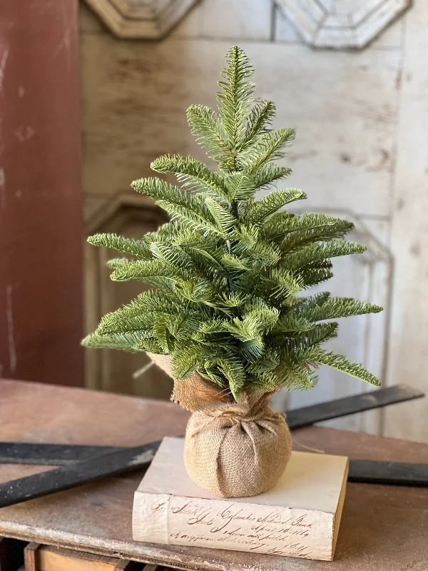 Shetland Spruce Tree | 20"