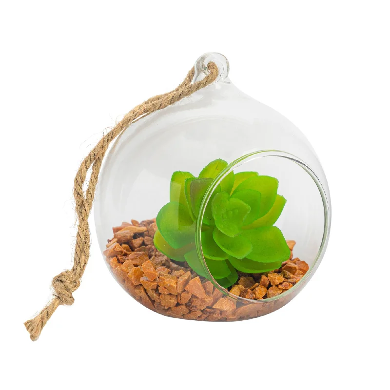 10cm Hanging Glass Succulent Terrarium - By Nicola Spring