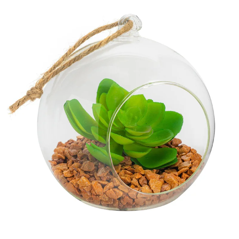 12cm Hanging Glass Succulent Terrarium - By Nicola Spring