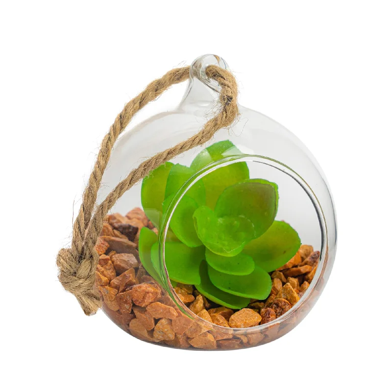 8cm Hanging Glass Succulent Terrarium - By Nicola Spring